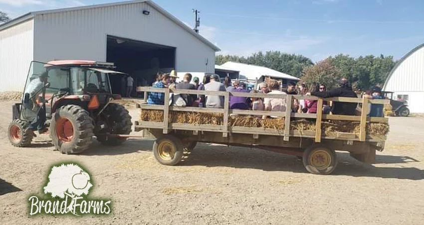 Family fun activities at Brand Farms