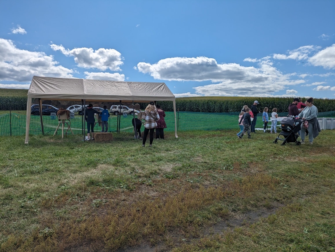 Fall Fun Opening Weekend