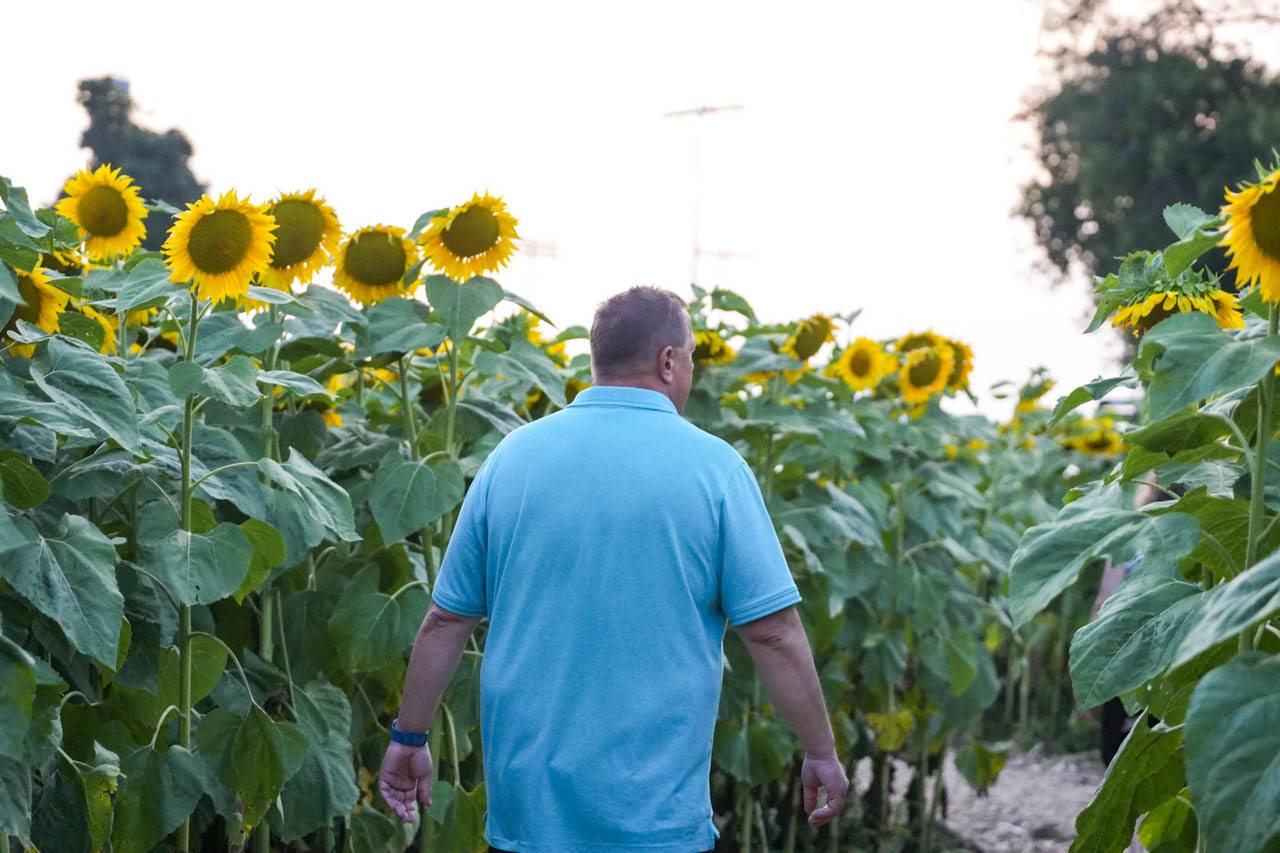 Rhythm & Blooms 2025