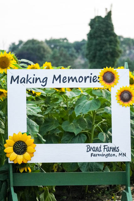 Rhythm & Blooms 2025