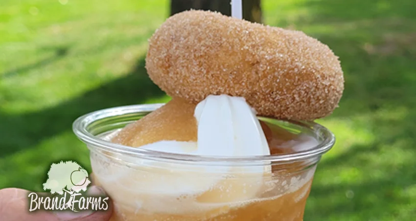 Apple cider donuts and slush